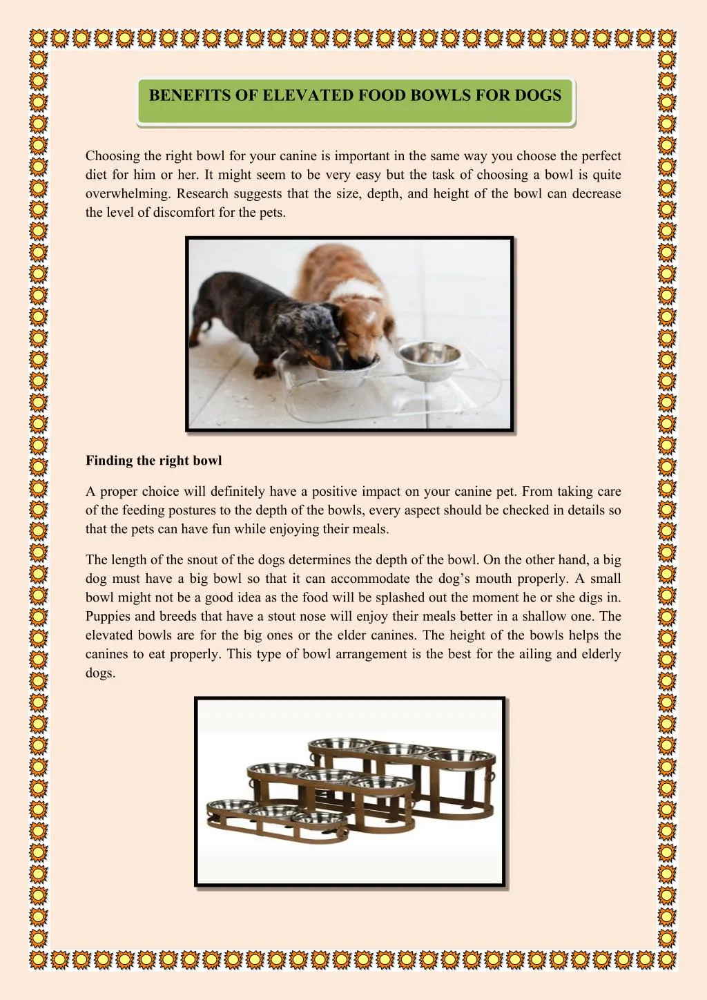 benefits of elevated food bowls for dogs