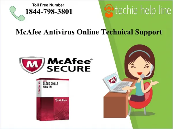McAfee Antivirus Online Technical Support Provided by Techiehelpline