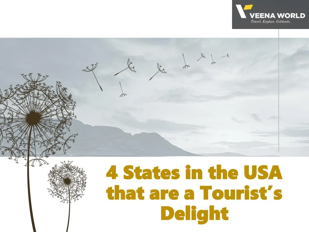 4 states in the usa that are a tourist s delight