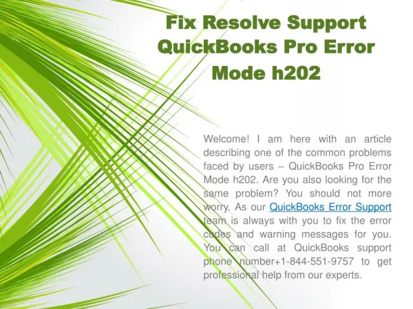 Fix Resolve Support QuickBooks Pro Error Mode h202