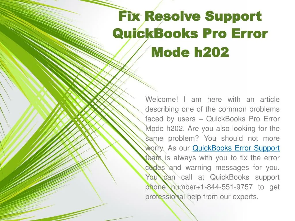 fix resolve support quickbooks pro error mode h202