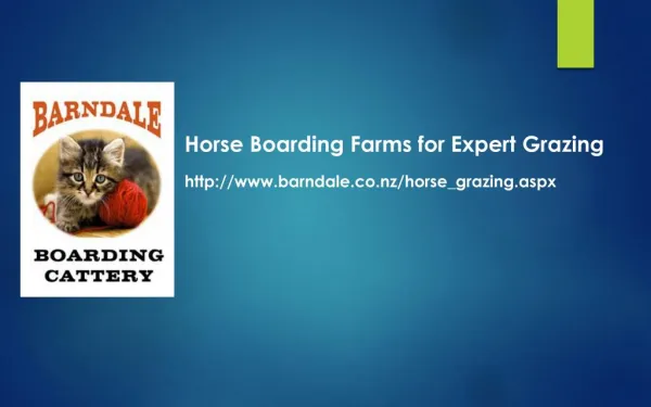 Horse Boarding Farm Auckland