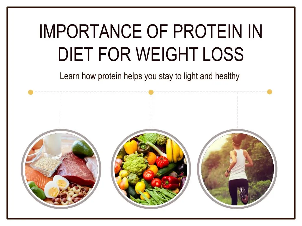 importance of protein in diet for weight loss learn how protein helps you stay to light and healthy