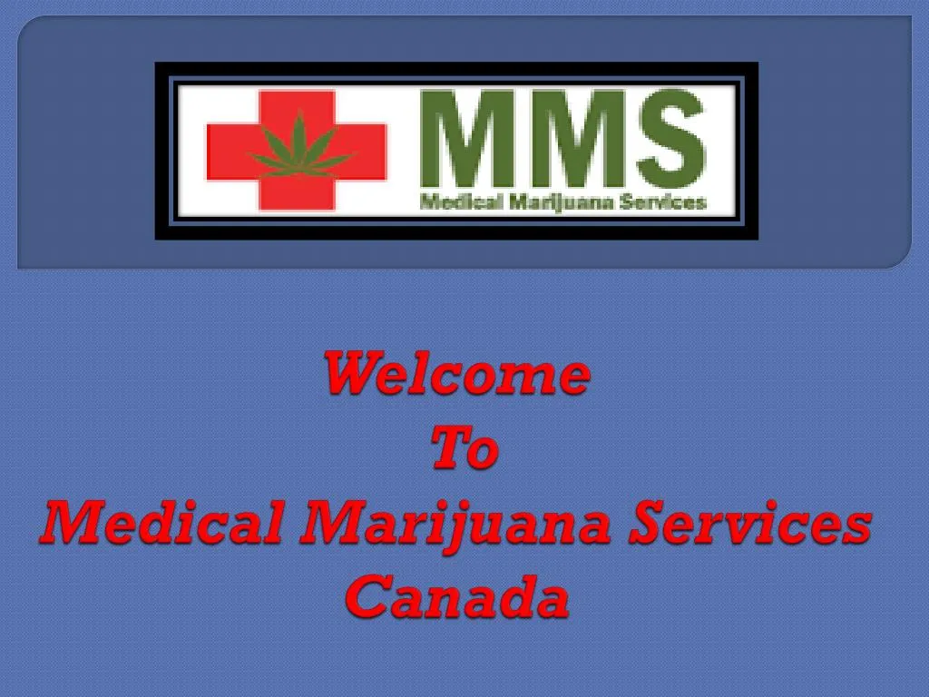 welcome to medical marijuana services canada