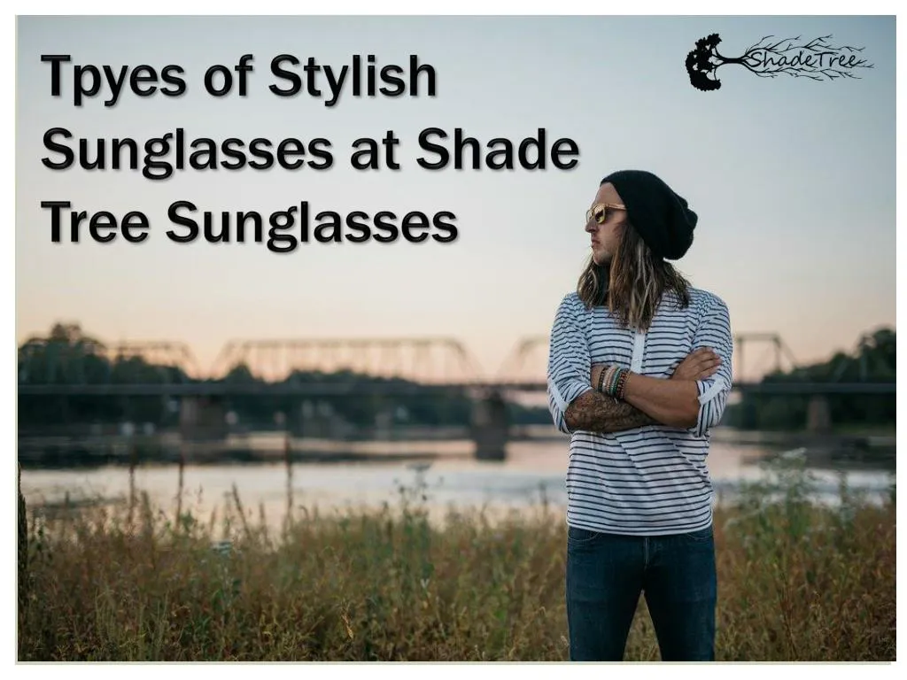 tpyes of stylish sunglasses at shade tree