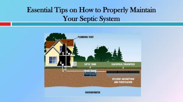 Essential Tips on How to Properly Maintain Your Septic System