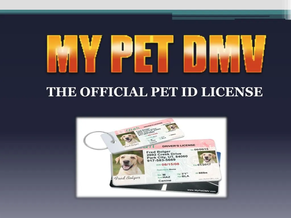 the official pet id license