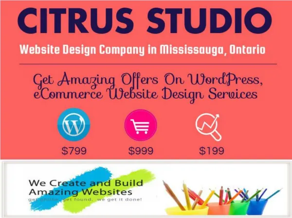 Get Offer On WordPress Website in Mississauga | $799 Only
