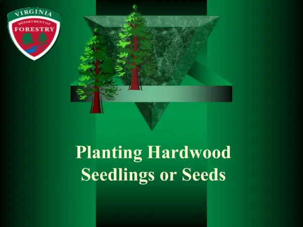 Planting Hardwood Seedlings or Seeds