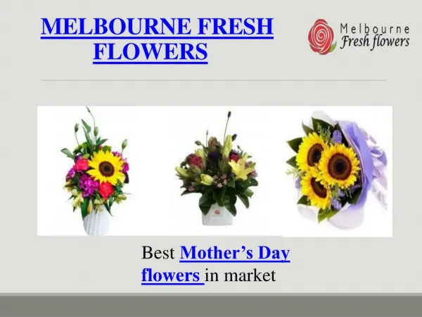 Best Mother’s Day flowers Delivery – Melbourne Fresh flowers