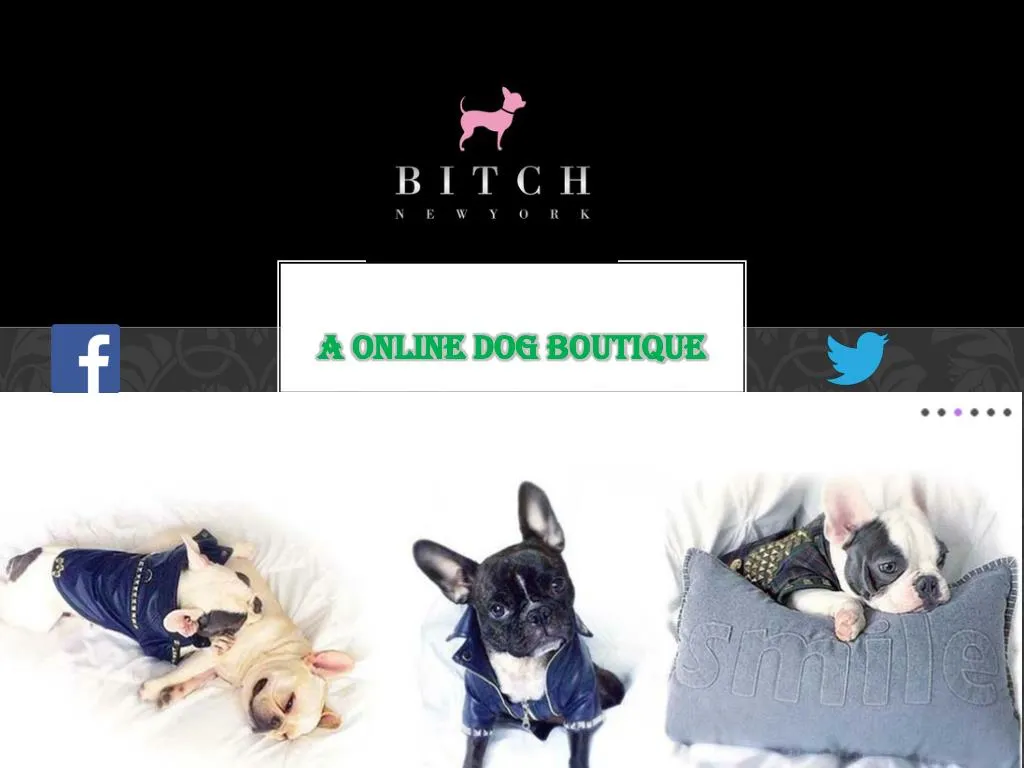 a online dog boutique