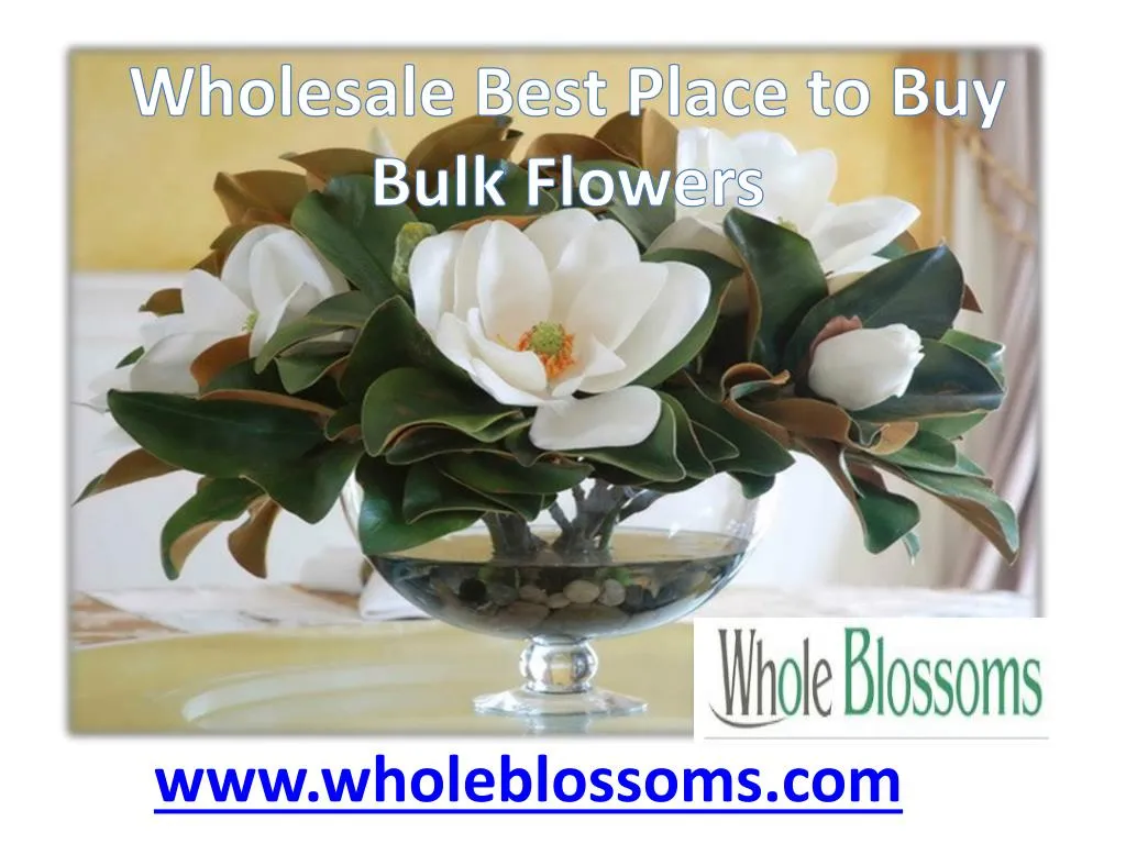 wholesale best place to buy bulk flowers
