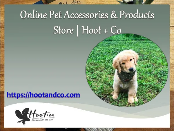 Online Pet Accessories & Products Store | Hoot Co