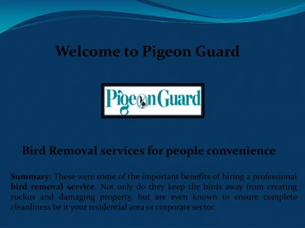Bird removal service, Bird Control Services