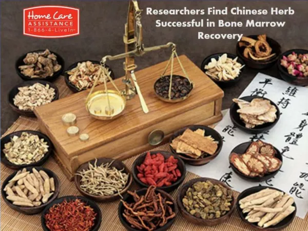 Successful in Bone Marrow Recovery with Chinese herb