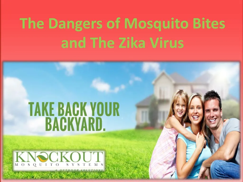 the dangers of mosquito bites and the zika virus