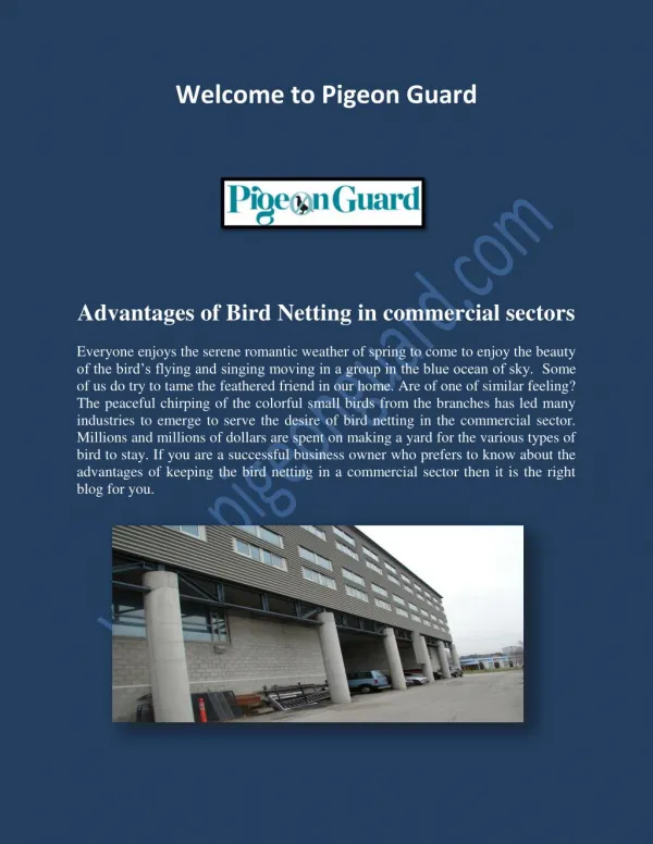 Pigeon Netting, Pigeons Control.pdf