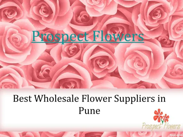 Best Wholesale Flower Suppliers in Pune - Prospect Flowers