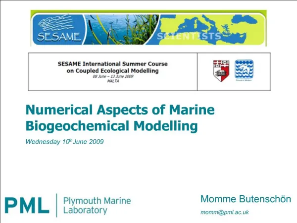 Numerical Aspects of Marine Biogeochemical Modelling