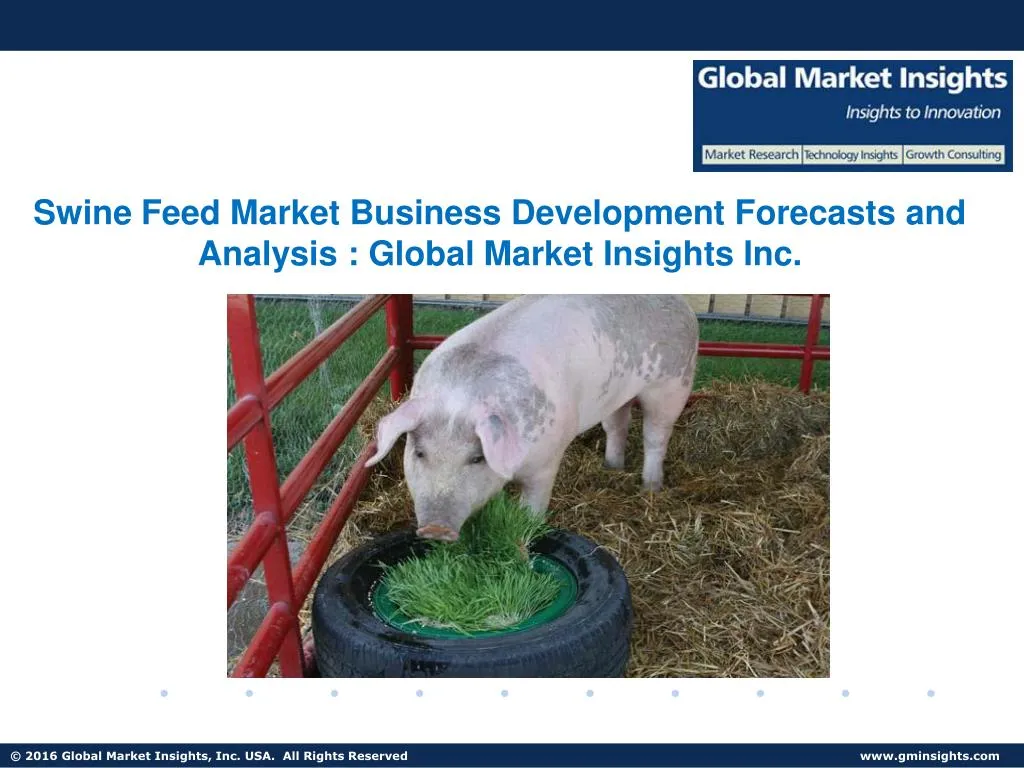 swine feed market business development forecasts