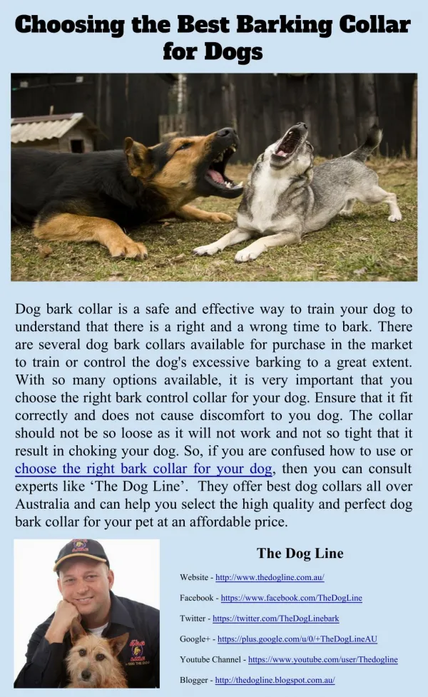 Choosing the Best Barking Collar for Dogs