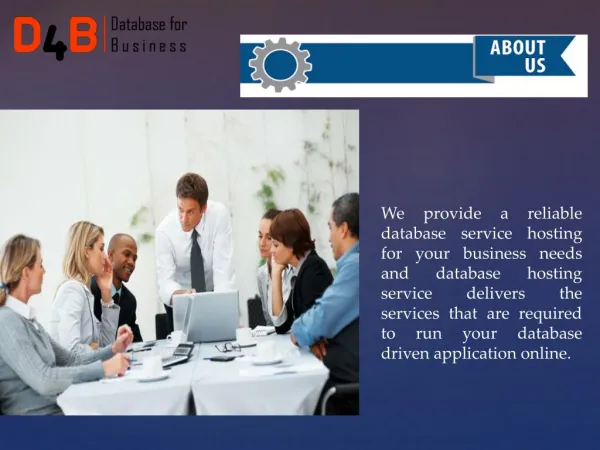 Dubai database companies