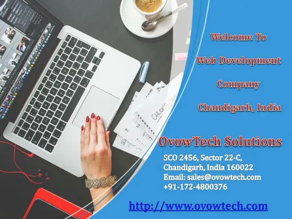 Digital Marketing Agency Chandigarh - Ovowtech