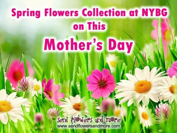 Amazing Fresh Flowers Collection at NYBG for Mother's Day