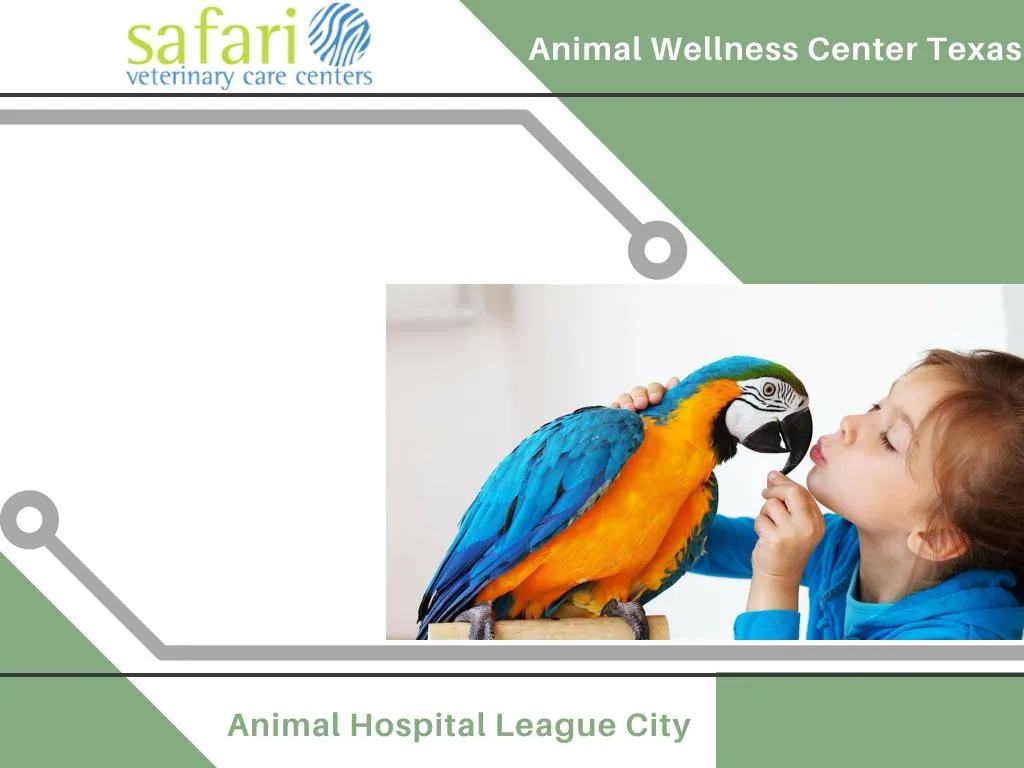 animal wellness center texas