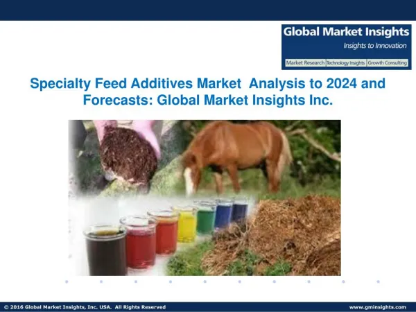 Specialty Feed Additives Market Share, Present Efficiencies and Future Challenges from 2017 to 2024