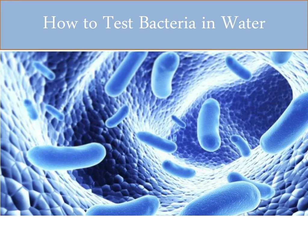 how to test bacteria in water