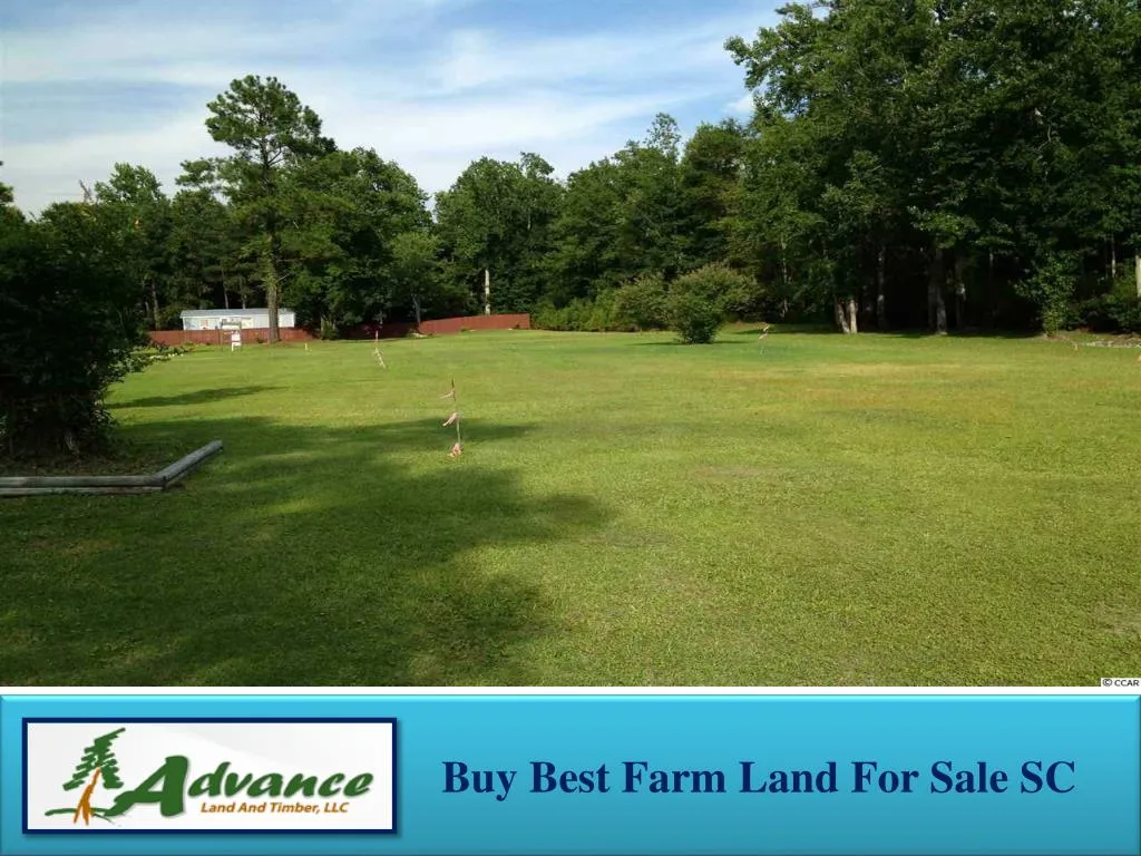 buy best farm land for sale sc