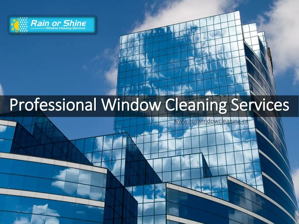 professional window cleaning services