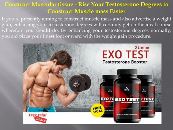 Construct Muscular tissue - Rise Your Testosterone Degrees to Construct Muscle mass Faster
