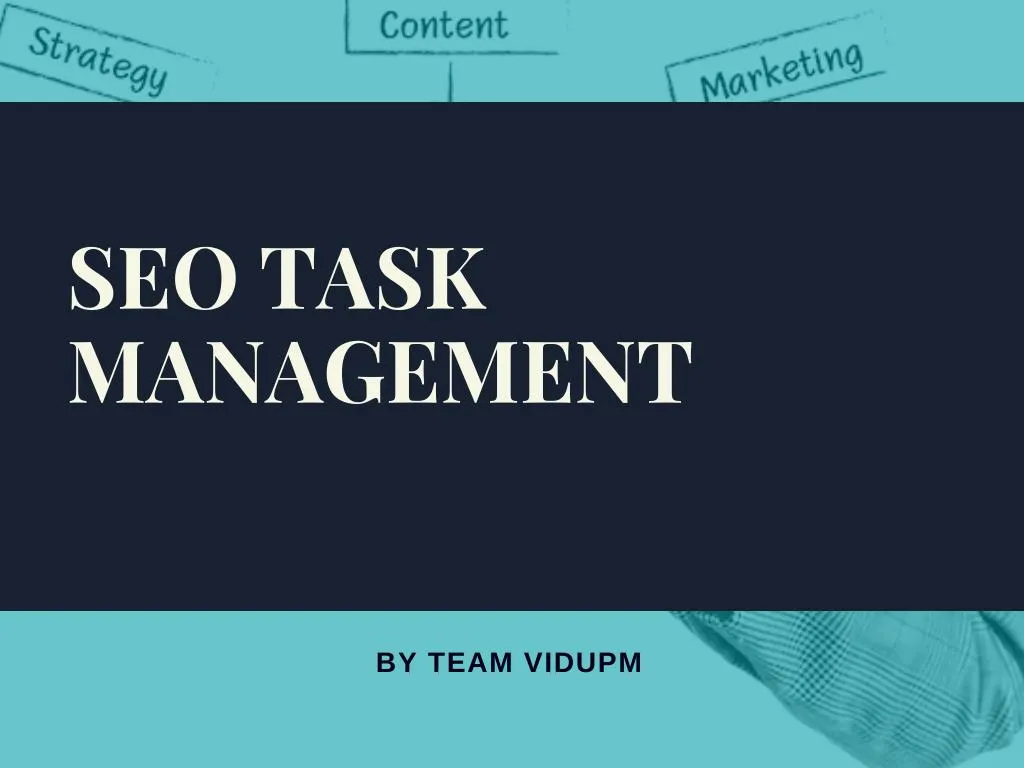 seo task management