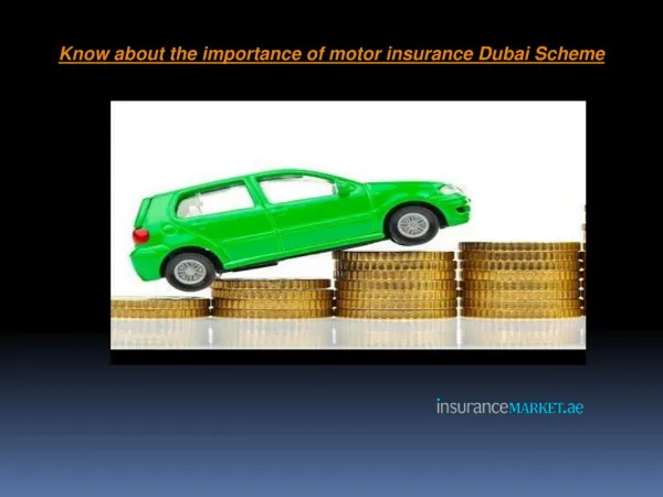 Know about the importance of motor insurance Dubai Scheme