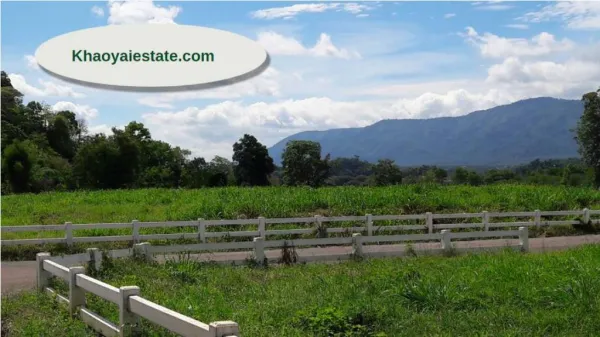Top Imperative Attributes of the land and property at Khaoyai