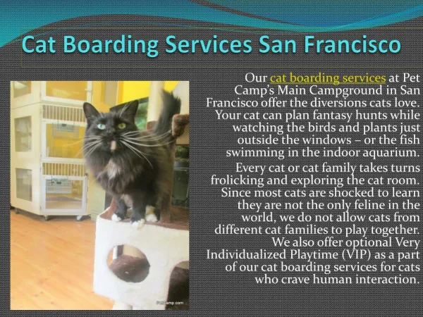 Pet Care Services San Francisco