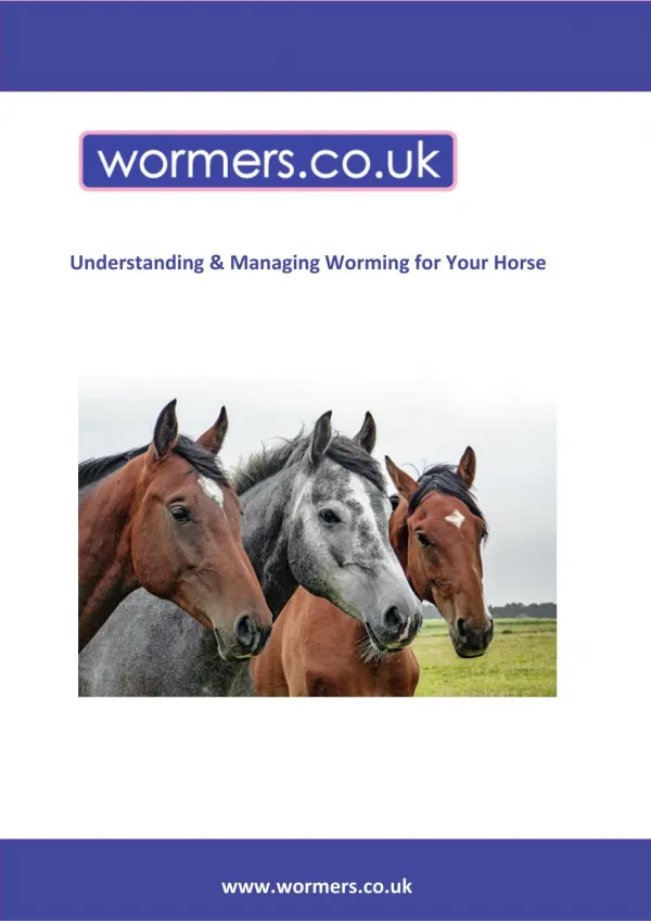 Understanding and Managing the Worming of your Horse