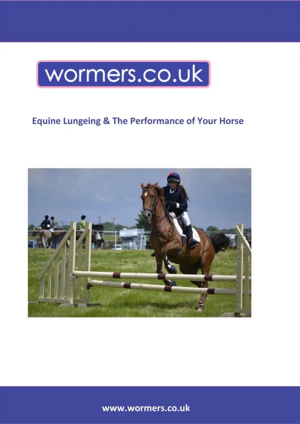 Equine Lungeing & the Performance of your Horse