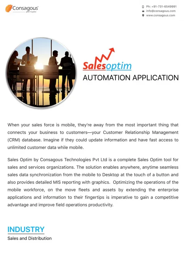 Salesoptim Automation Application