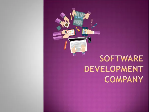 Scope of Software Development Company in the Information Technology industry