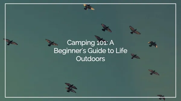 Camping 101- A Beginner's Guide to Life Outdoors
