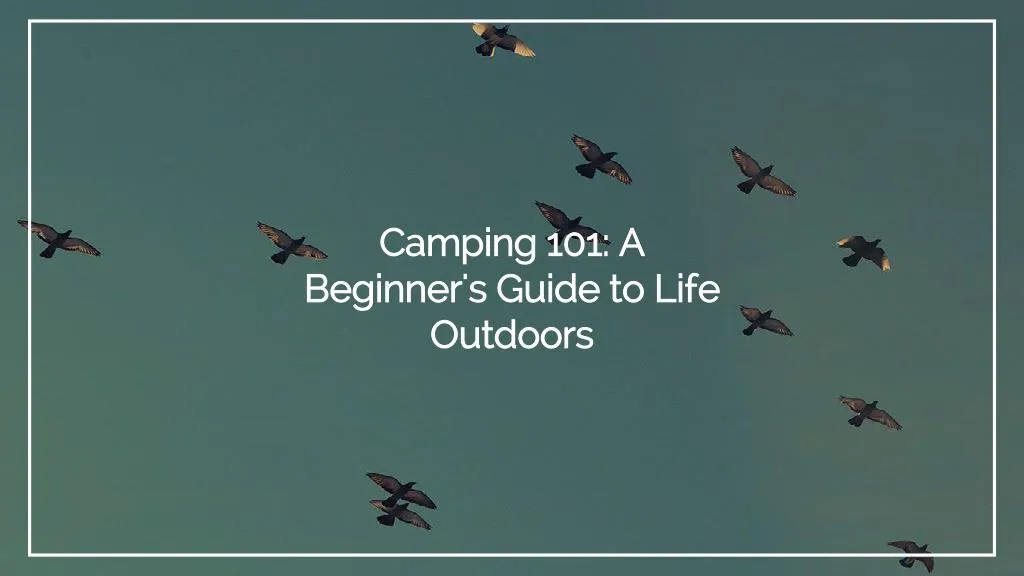camping 101 a beginner s guide to life outdoors