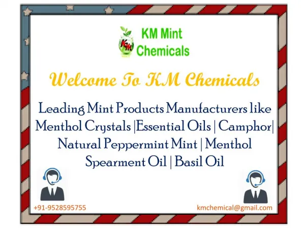 Mint Products Manufacturers