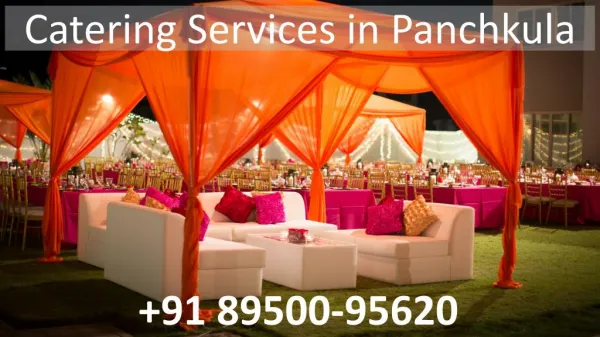 Catering services in Panchkula