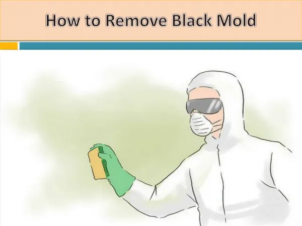 How to Remove Black Mold at your Home?