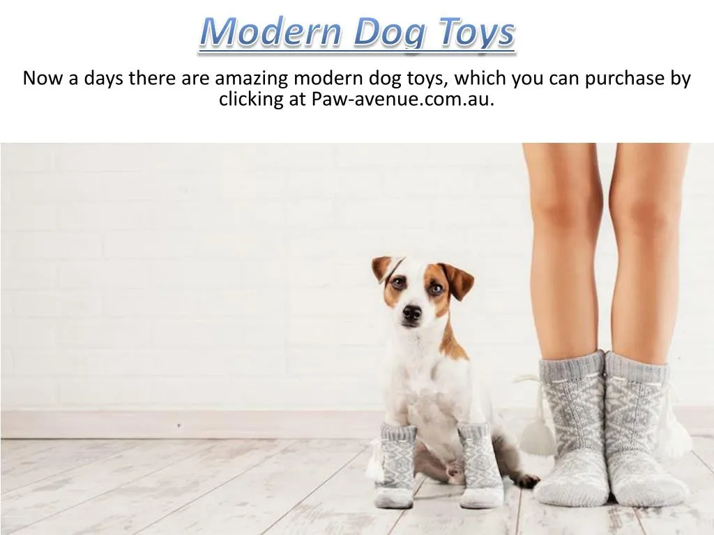modern dog toys