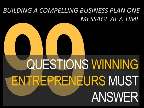 99 questions winning entrepreneurs must answer: the minimum viable business plan