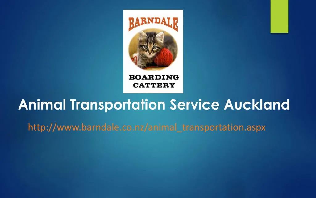 animal transportation service auckland